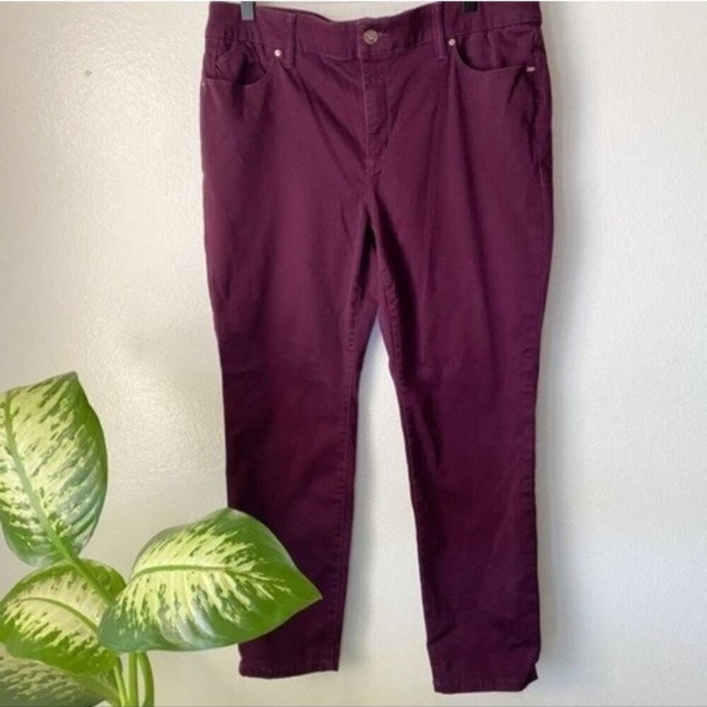 NWT Chico's Secret Stretch Jeggings